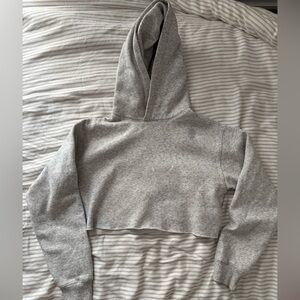 Aritzia TNA Cropped Hoodie